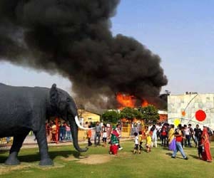 Fire breaks out in adventure park