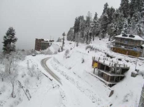 kufri is a famous turist place in shimla 