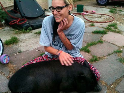 pet pig killed in slaughter house