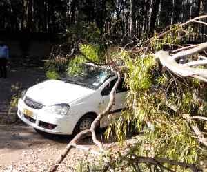 road accident in sirmour, 4 died