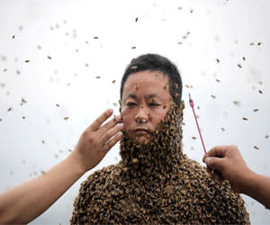  beekeeper cover with half a million bees for a world record