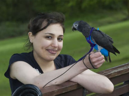 parrot saves mugger by flapping its wings