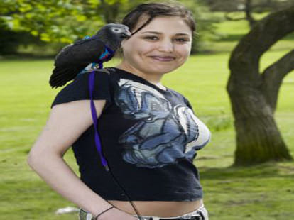 parrot saves mugger by flapping its wings