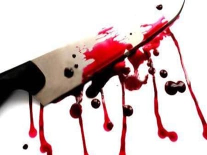 Two friends dead in revenge fight