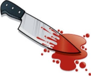 palsora baby murder case