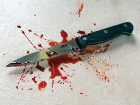 son murdered his mother