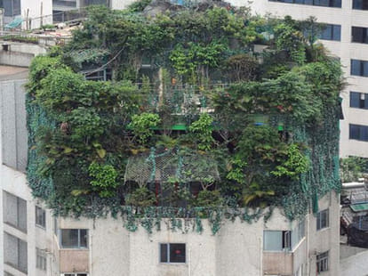 penthouse covered with greenery