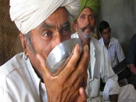 in barmer, Doda poppy seeking election