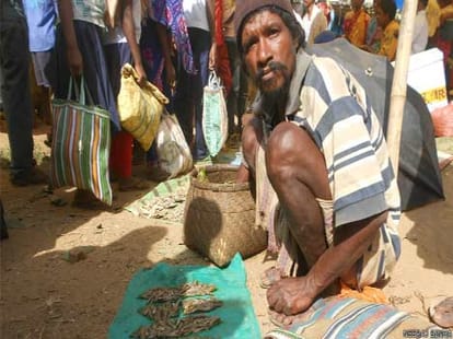 jharkhand terror in the shadow of elections