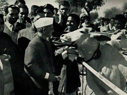 stories of lalbahadur shasri