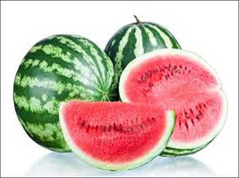 watermelon can increase libido