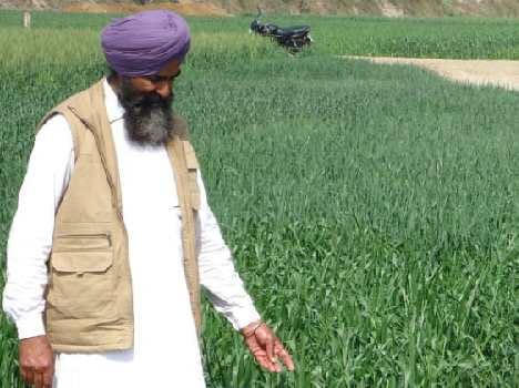 border firing effcet on farmers 