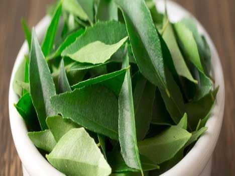 health benefits of neem