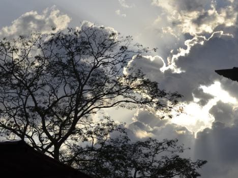 weather of dehradun