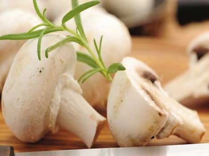 mushroom now made at wheat waste material