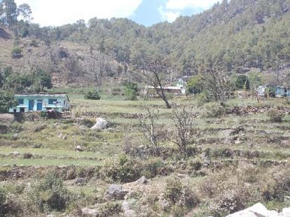 ground reporting of uttarakhand village
