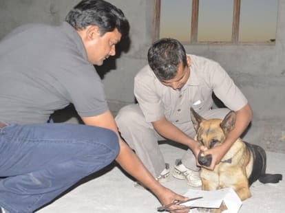 theft in harish rawat relatives house