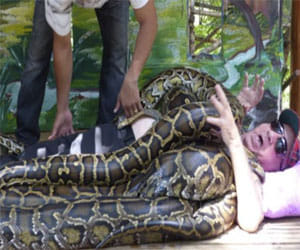 man agrees to get covered with four pythons to get a treatment