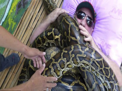 man agrees to get covered with four pythons to get a treatment