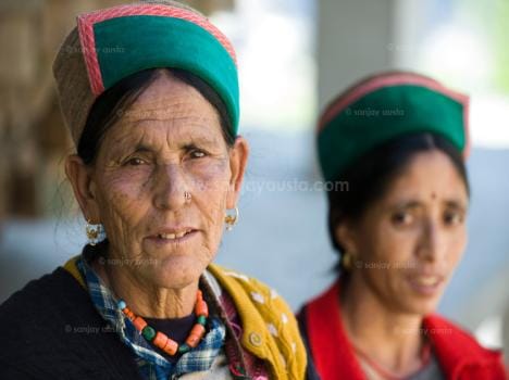 there is only 8 lady candidate in Himachal