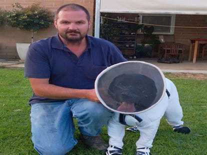 dog who act as saviour for bee hives