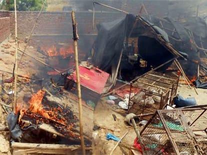 mess with cow smuggling, fire in three meat shops