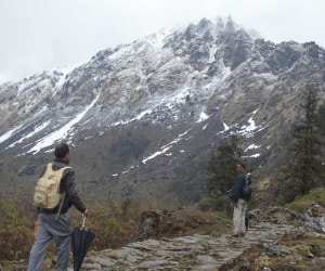 himalaya darshan service start from next week