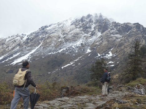 himalaya day special story