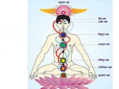 what is the significance of saptapadi scientific reason