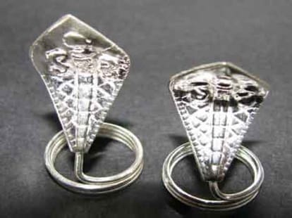 building construction vastu poojan snake 