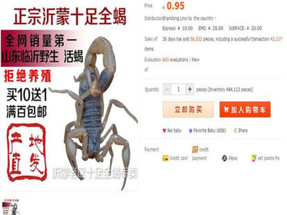 site which sells unbelievable things