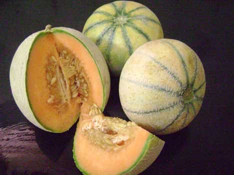 health benefits of musk melon