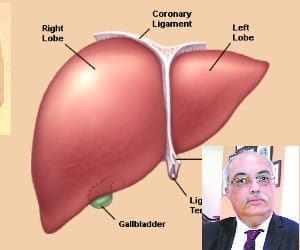 Medicines for Liver Diseases