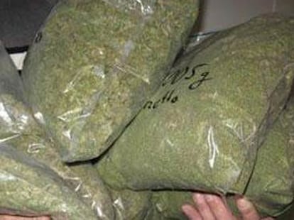 cia unit caught 222kg cannabis in gurgaon