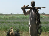 No rain get farmer tensed