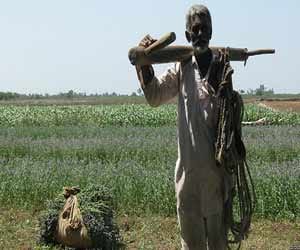no benefits for farmers in general budget
