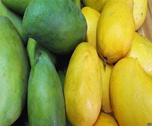 woman wins first price on eating mangos