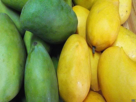 eurpope ban alphonso mangoes