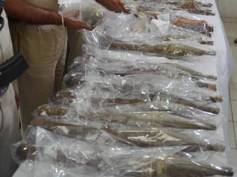 Seized a heavily weapons of Terrorist organization, including rocket launchers