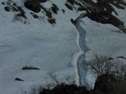 dead body and skeleton found in kedarnath valley