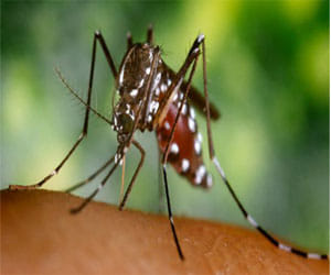Mosquito spray use can lead to coma