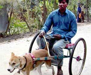 jokes_hindi jokes_best jokes_funny pics