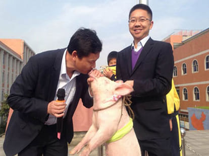 man kisses a pig