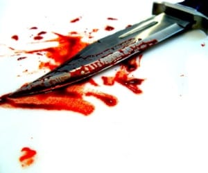 turist attack on dhabamalik at mandi