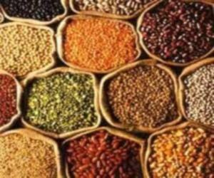 This month, govt will give full rashan