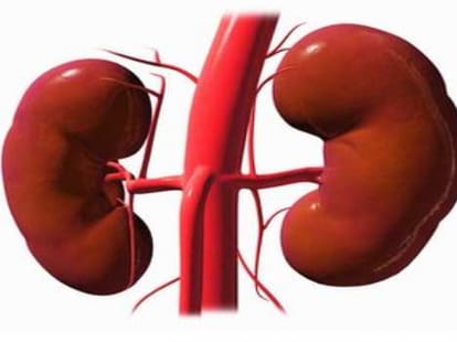 without matching blood group kidney transplant is possible.