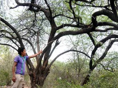 Lovers suicides in Delhi University park