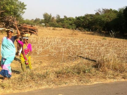 how effective Gujarat model for the country?