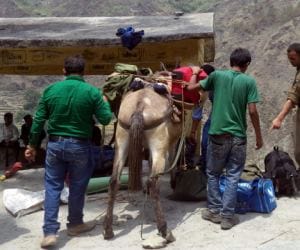 due to monsoon chardham yatra slow.
