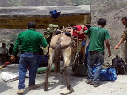 chardham yatra pilgrims